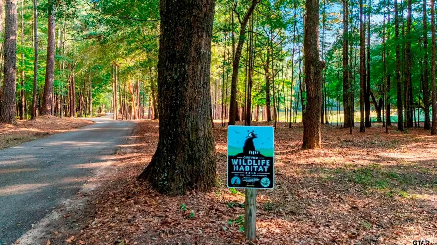 11161 FM 344 W, Bullard, TX 75757 - Image #3