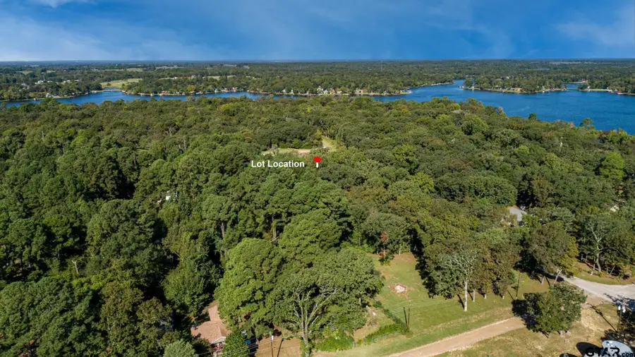 TBD Sunny Ridge, Murchison, TX 75778 - Image #3