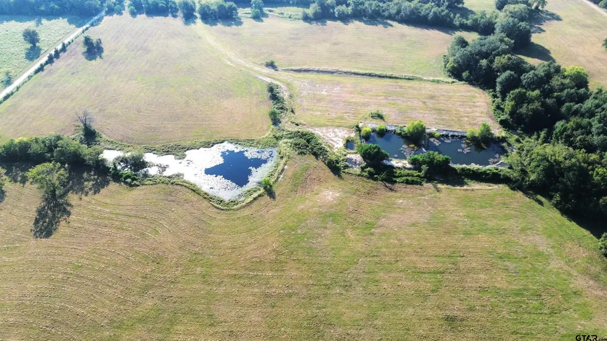 TBD CR 3495, Lovelady, TX 75851 - #1