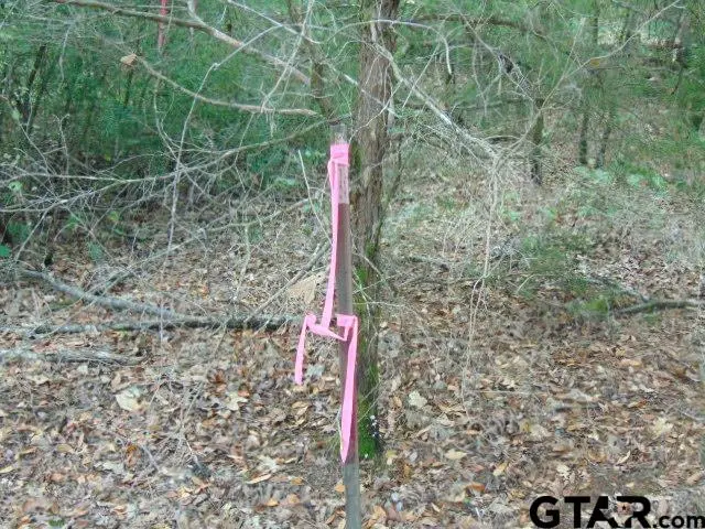 #3