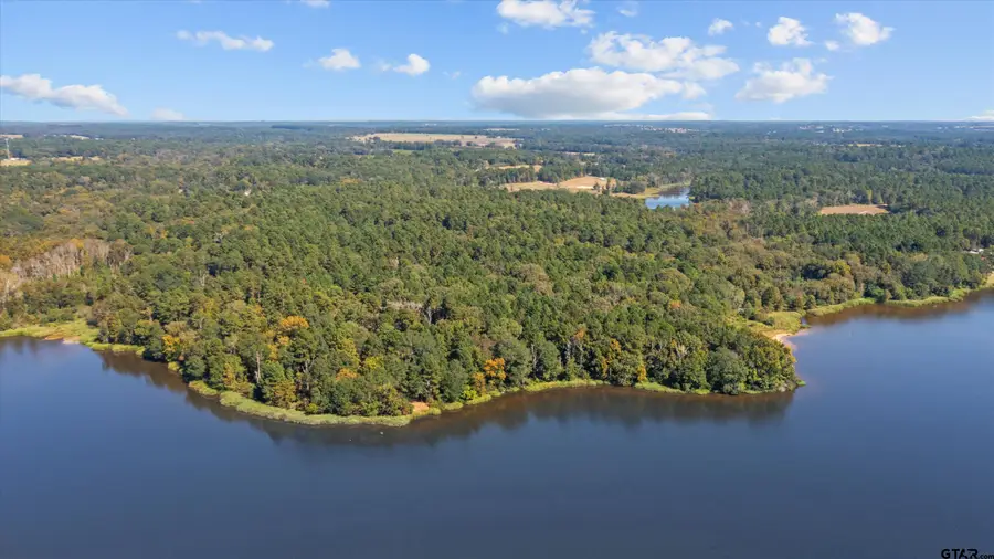 TBD CR 2170, Grapeland, TX 75844 - Image #2