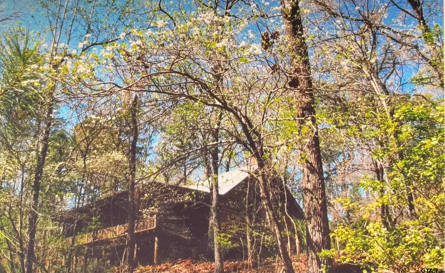 1593 CR 2290, Grapeland, TX 75844 - Image #3