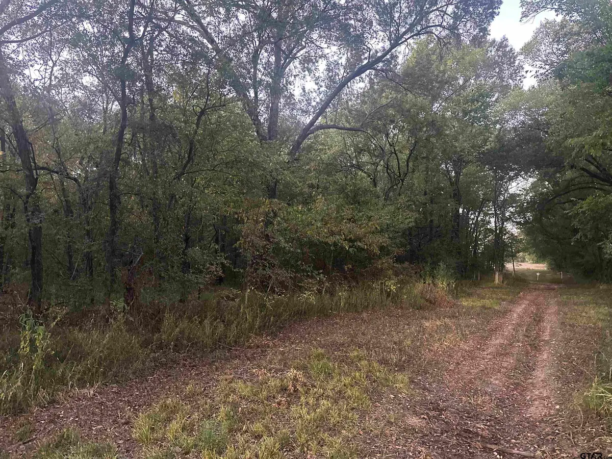TBD County Road 1180, Cooper, TX 75432 - #1
