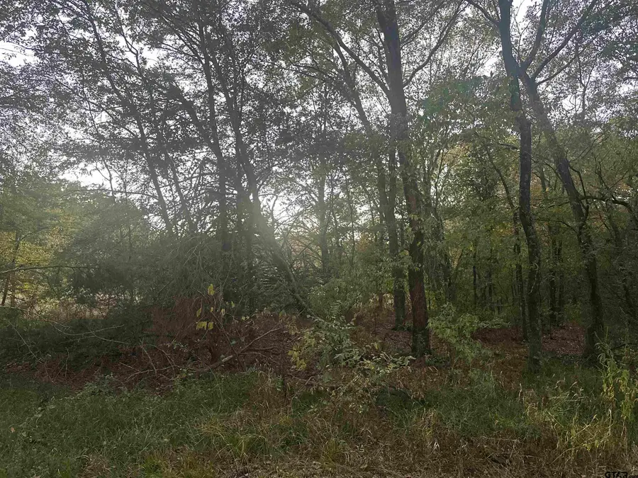 TBD County Road 1180, Cooper, TX 75432 - #2