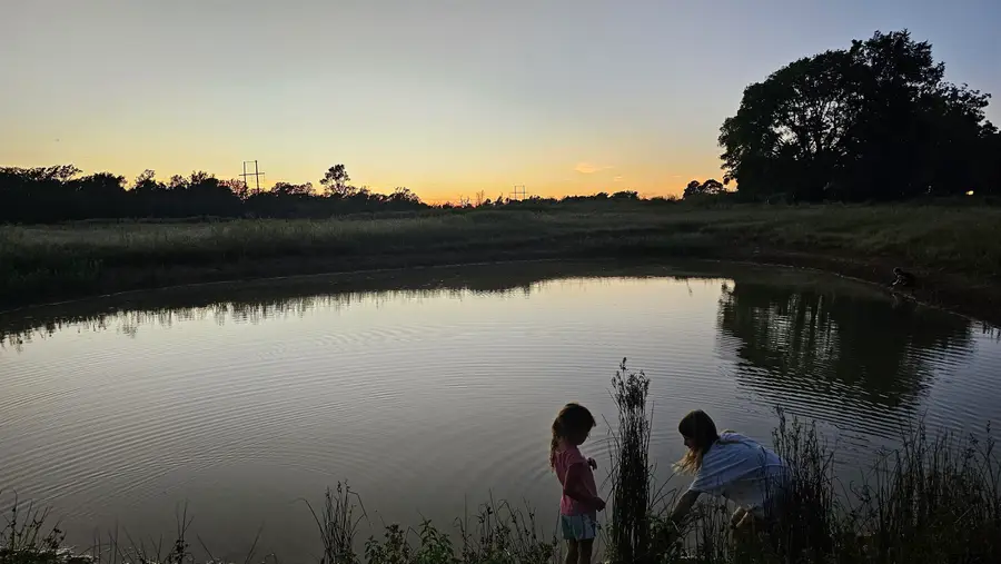 5211 VZ County Road 1222, Grand Saline, TX 75140 - Image #3