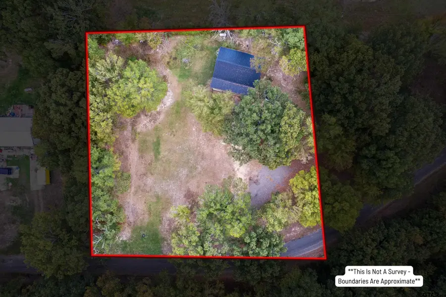 625 NE County Road 2140, Talco, TX 75487 - Image #3