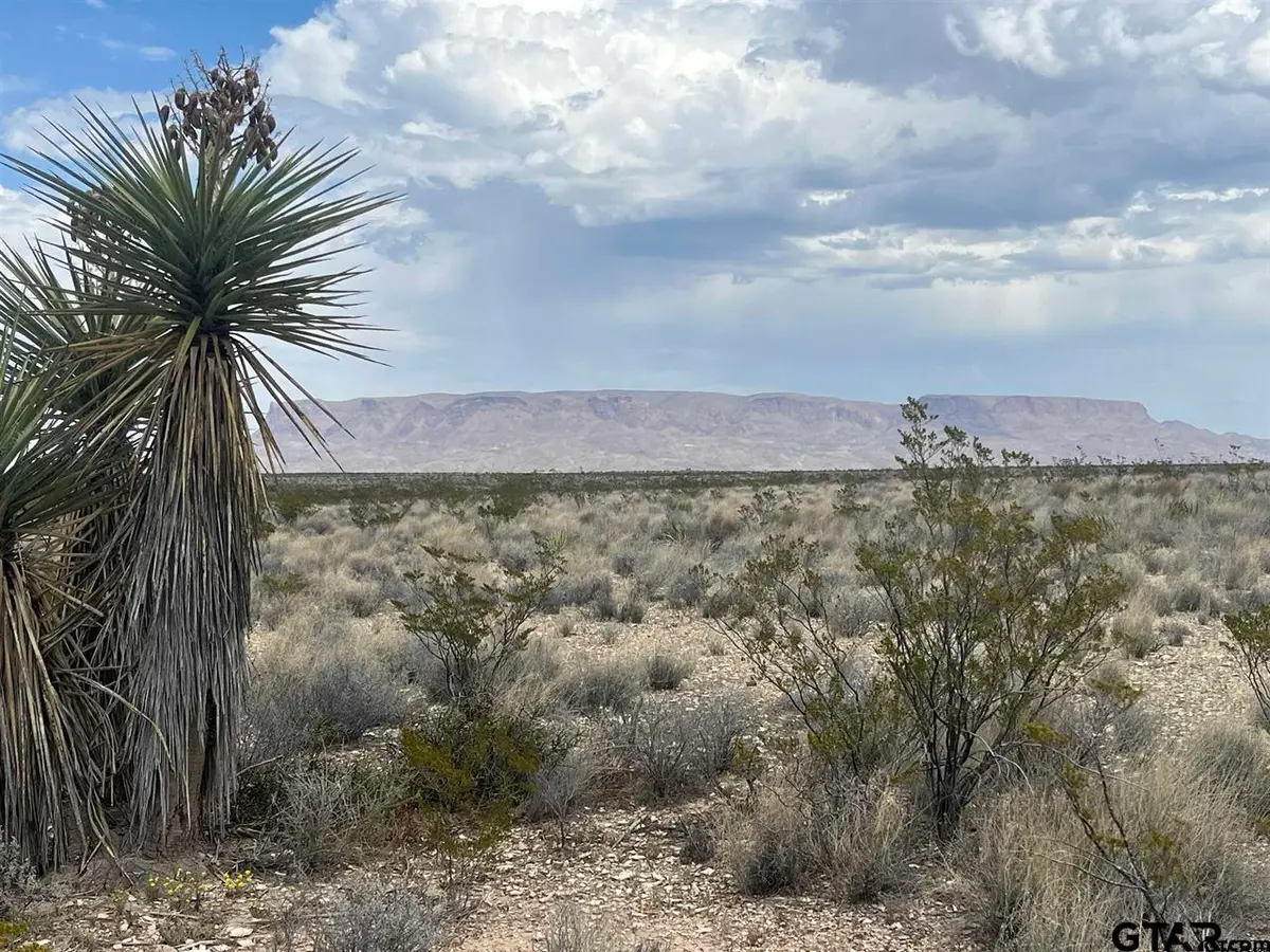 14359 Blue Dawg, Terlingua, TX 79852 - Image #1