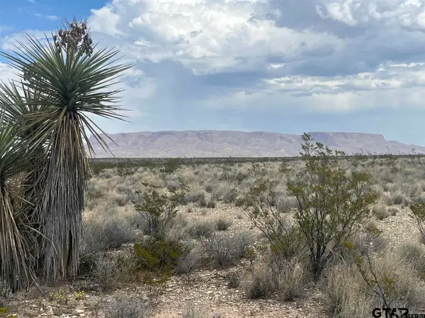 14359 Blue Dawg, Terlingua, TX 79852