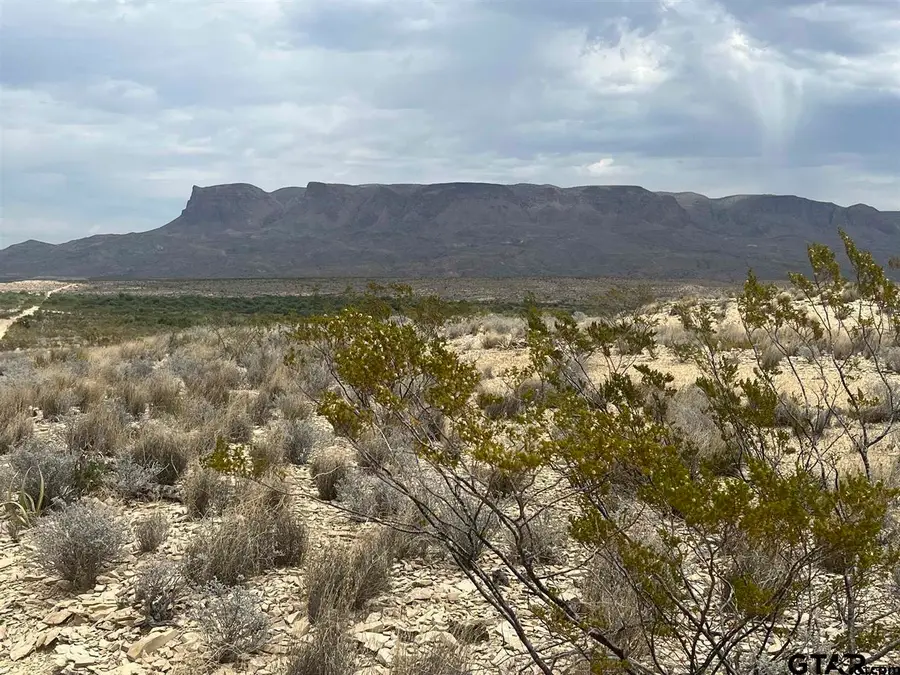 14359 Blue Dawg, Terlingua, TX 79852 - Image #2