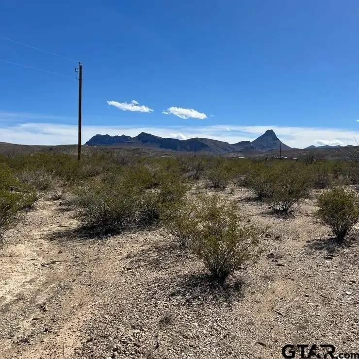 31466 Ringtail, Terlingua, TX 79852 - Image #1
