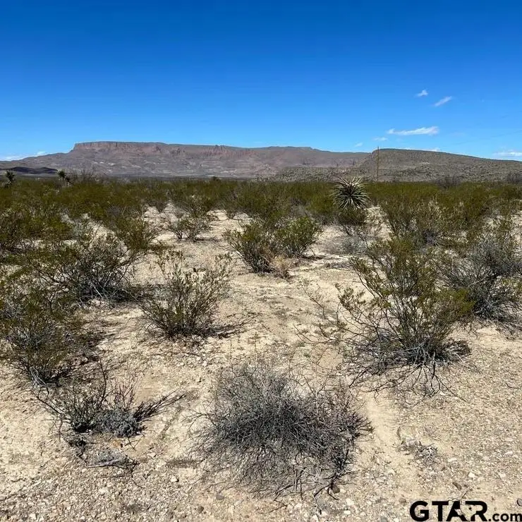 31466 Ringtail, Terlingua, TX 79852 - Image #2