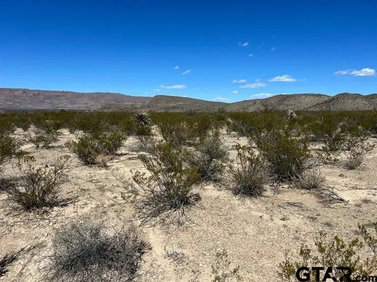 31466 Ringtail, Terlingua, TX 79852 - Image #3