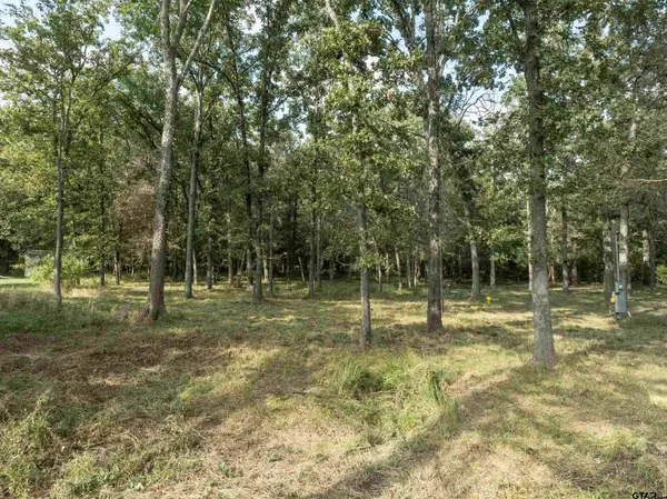 tbd Callender Lake Drive, Murchison, TX 75778