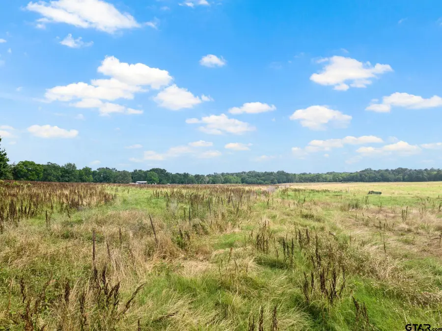 TBD CR 2920, Pittsburg, TX 75686 - Image #2