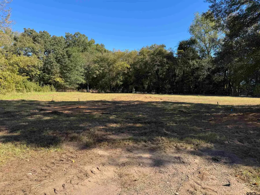 117 Cypress Circkle, Mount Vernon, TX 75457 - Image #2