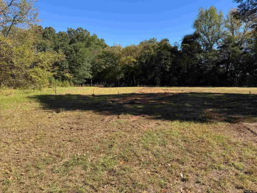 117 Cypress Circkle, Mount Vernon, TX 75457 - Image #3