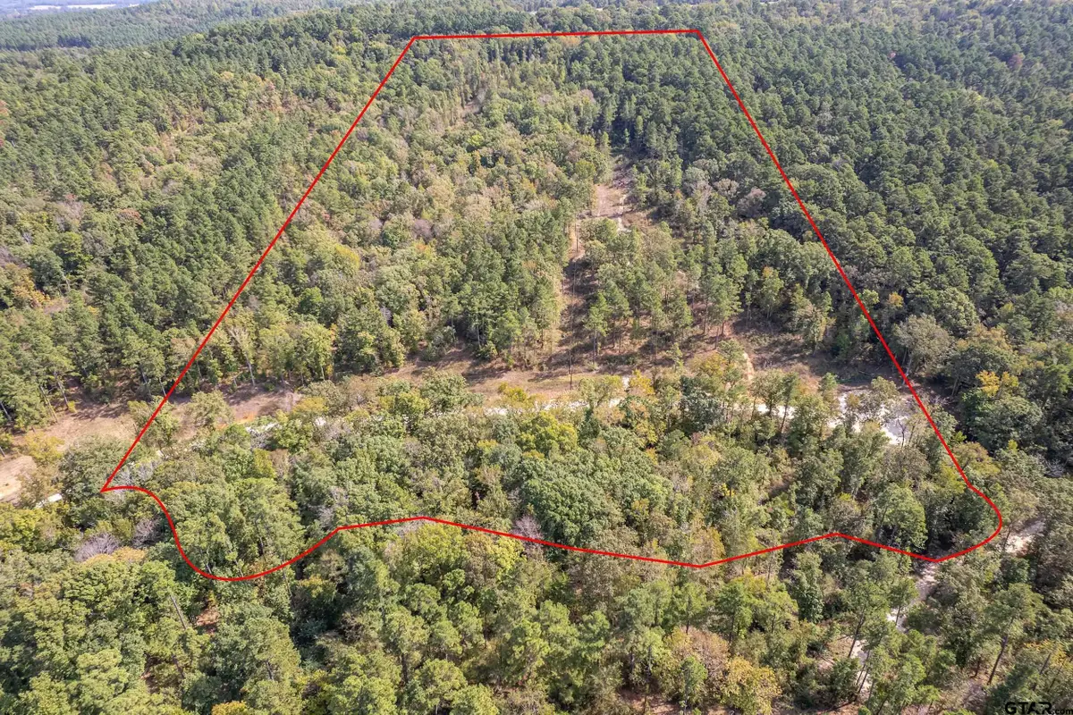 1305 Jackson Dr & TBD Hwy 110, Rusk, TX 75785 - Image #1