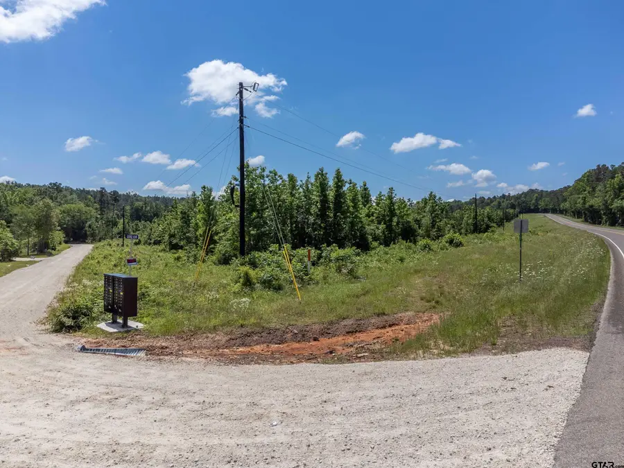 172 George Blvd, Rusk, TX 75785 - Image #3