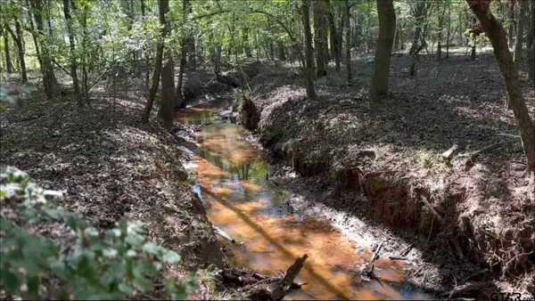 TBD-D CR 4172D, Laneville, TX 75667