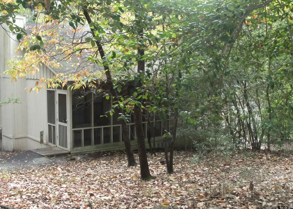 117 Cottonwood Cove, Holly Lake Ranch, TX 75765 - Image #1