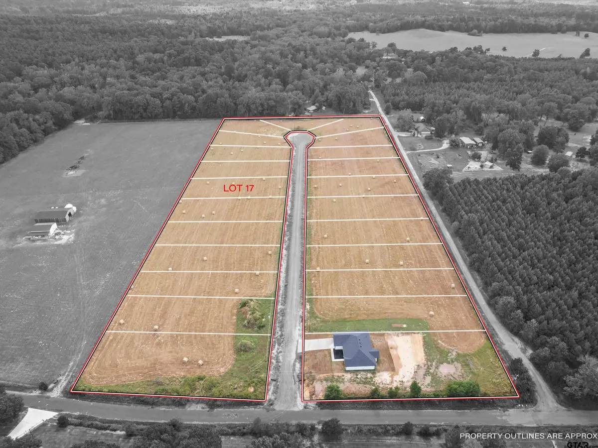 TBD Lot 17 PR 3168, Gilmer, TX 75645 - Image #1