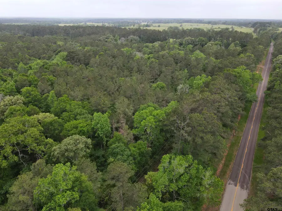 TBD FM 2110, Crockett, TX 75835 - #2