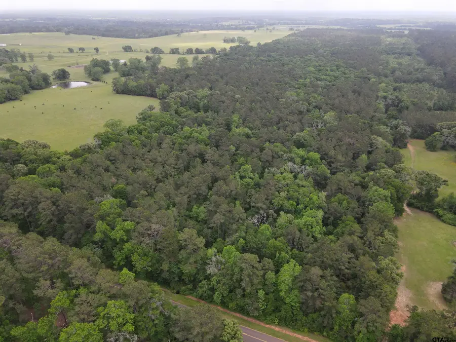 TBD FM 2110, Crockett, TX 75835 - #3