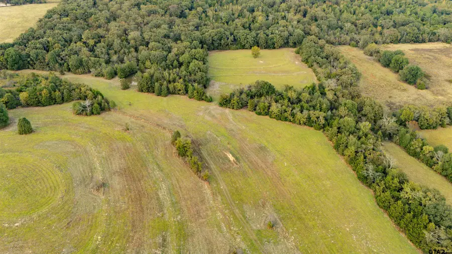 14948 FM 269, Pickton, TX 75471 - Image #2