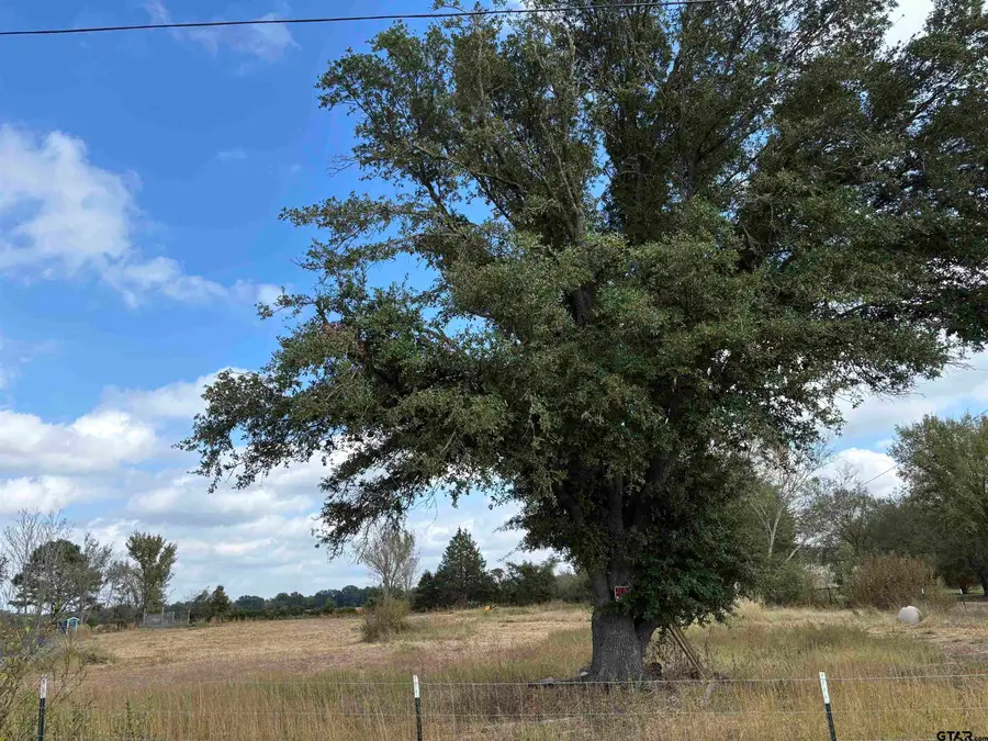 2443 FM 1653, Ben Wheeler, TX 75754 - Image #2