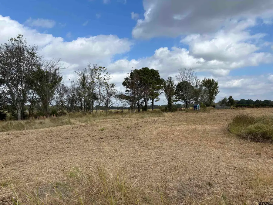 2443 FM 1653, Ben Wheeler, TX 75754 - Image #3