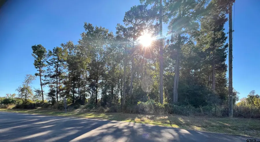 TBD CR 3490, Hawkins, TX 75765 - Image #3