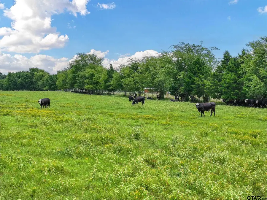 Tract 10 County Road 3415, Jacksonville, TX 75766 - Image #3