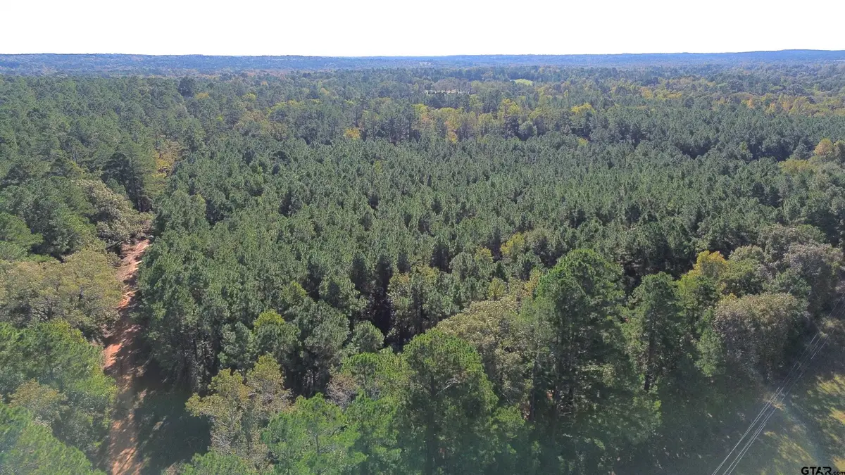 TBD CR 2265, Grapeland, TX 75844 - Image #1