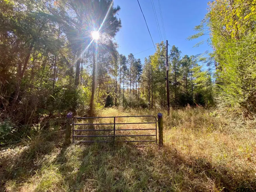 TBD CR 2265, Grapeland, TX 75844 - Image #2