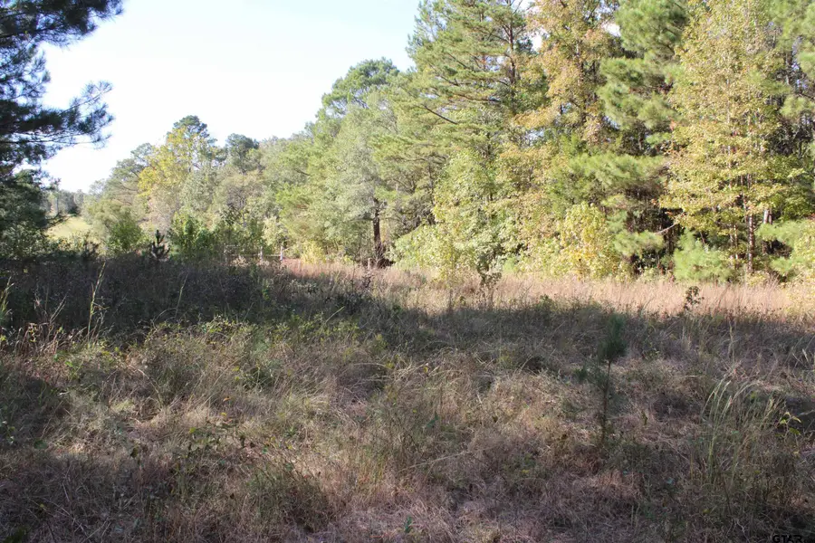 TBD CR 1508 - 37.4 acres, Jacksonville, TX 75766 - Image #2
