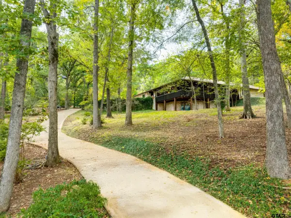 2223 N Link St, Palestine, TX 75803