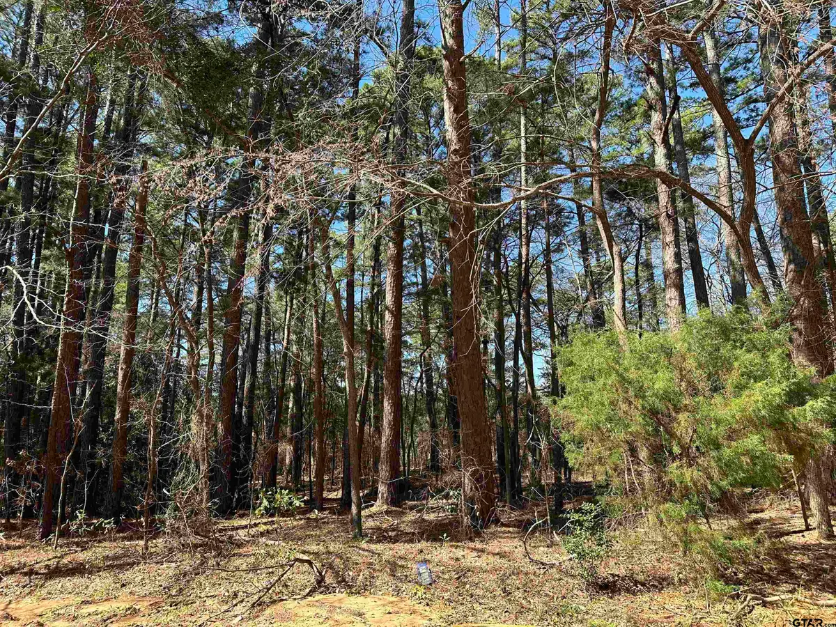 1473 Red Bud Circle, Bullard, TX 75757 - Image #1