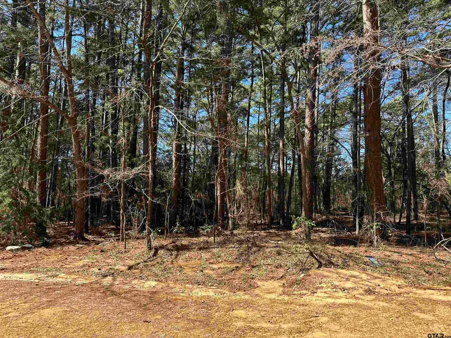 1473 Red Bud Circle, Bullard, TX 75757 - Image #2