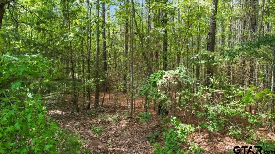 TBD CR 4114 #2 10.00 Acres, Hughes Springs, TX 75656 - Image #2