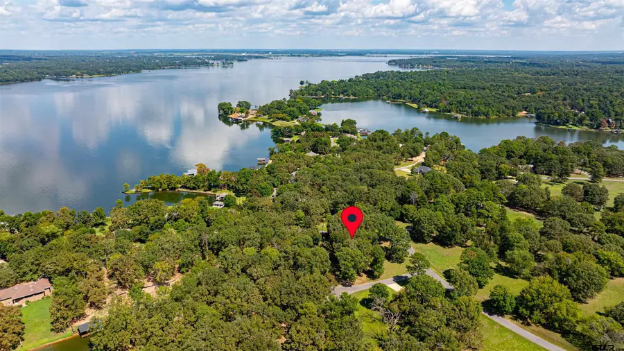 0000 PR 52368, Pittsburg, TX 75686 - Image #3