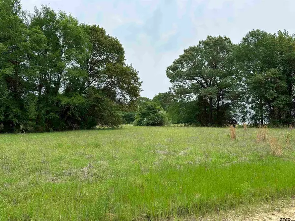 21478 CR 294, Arp, TX 75750