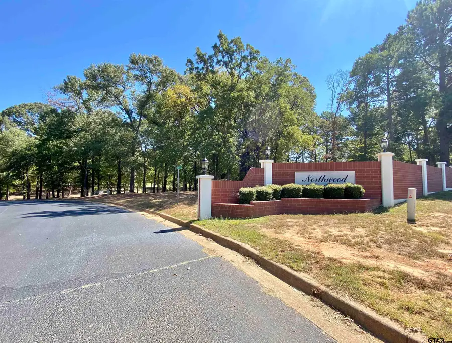 Lot 28 Leisure Ln, Larue Poynor, TX 75763 - #2