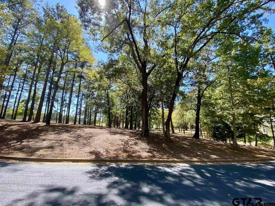 Lot 28 Leisure Ln, Larue Poynor, TX 75763 - #3