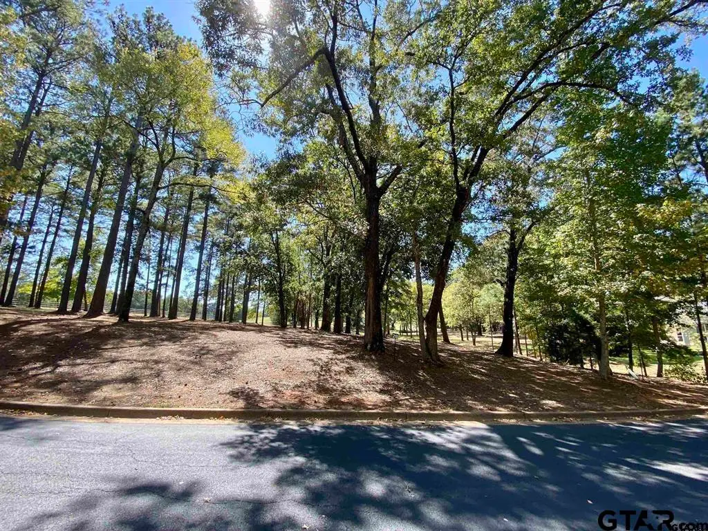 Lot 27 Leisure Ln, Frankston, TX 75763 - Image #1