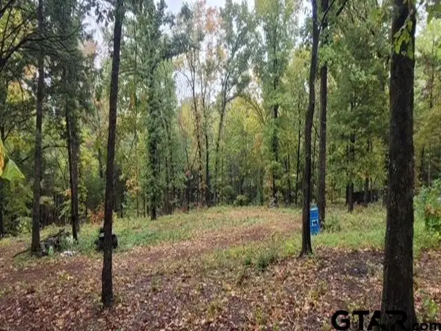 6903 US Hwy 175, Jacksonville, TX 75766 - Image #2