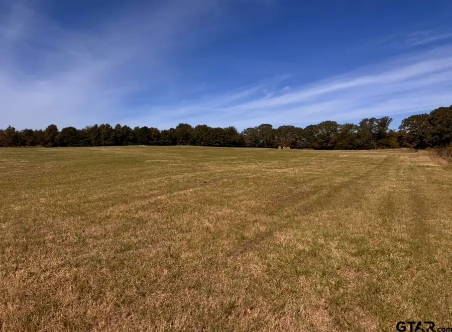 TBD FM 1001, Cookville, TX 75558 - Image #3