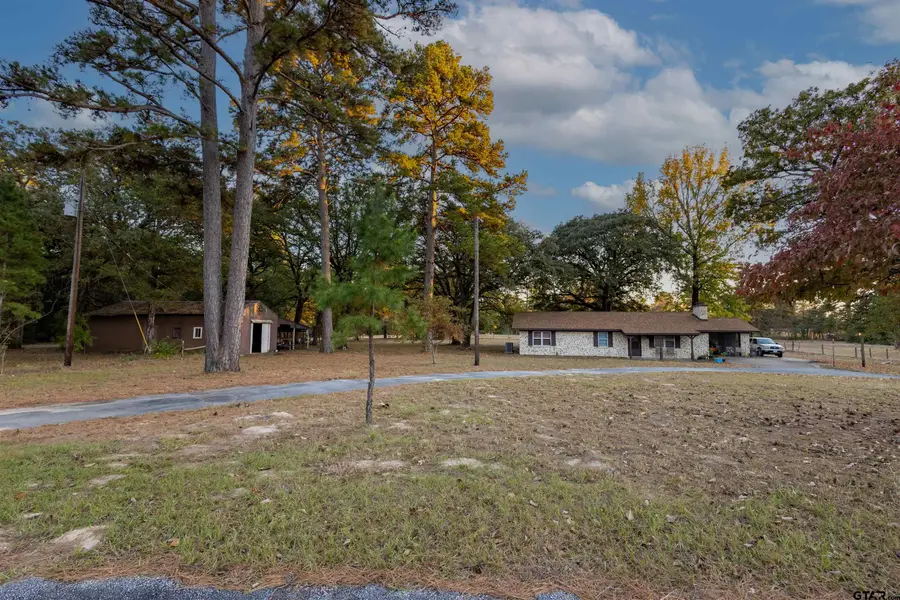3702 E HWY 154, Quitman, TX 75783 - Image #3