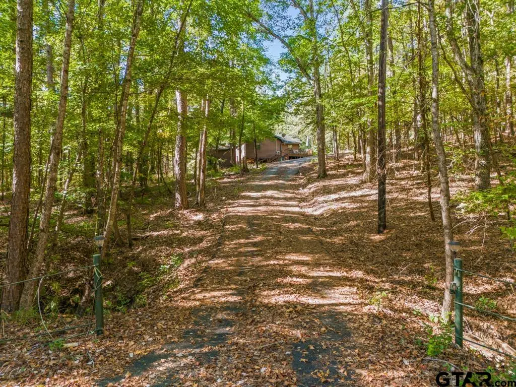 103 County Road 1526, Avinger, TX 75630 - Image #1