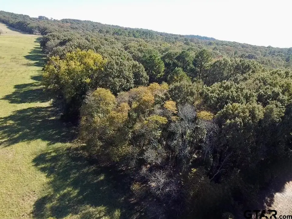TBD CR 3245, Quitman, TX 75783 - Image #1