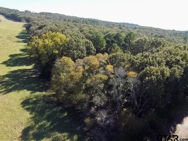 TBD CR 3245, Quitman, TX 75783